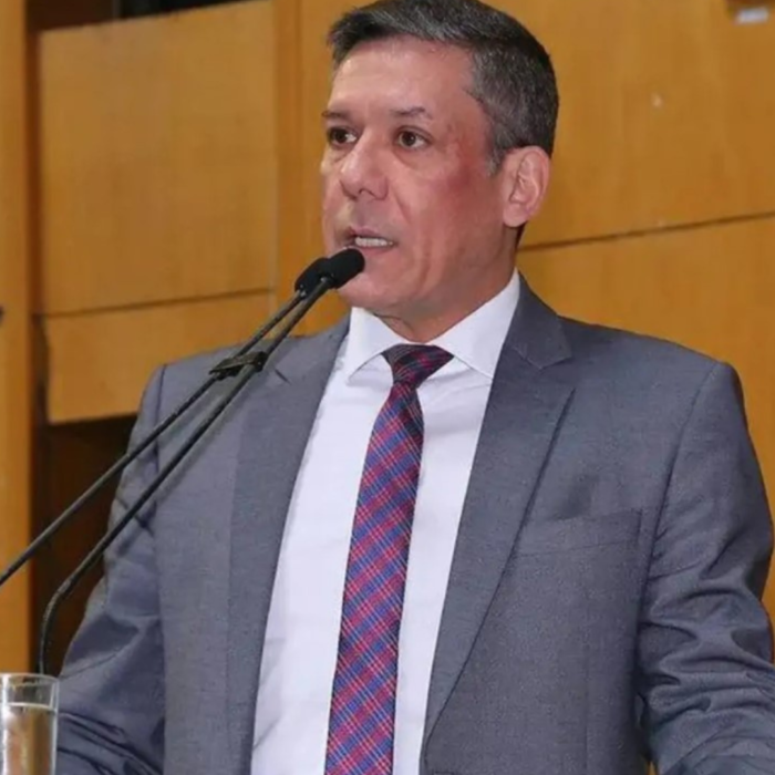 FEED - PLENÁRIA CAPIXABA