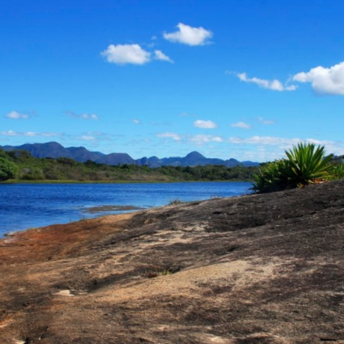 FEED - PLENÁRIA CAPIXABA (1)