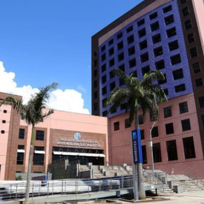 FEED - PLENÁRIA CAPIXABA