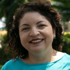 ‘Não havia qualquer necessidade de entregar esses serviços a uma PPP’