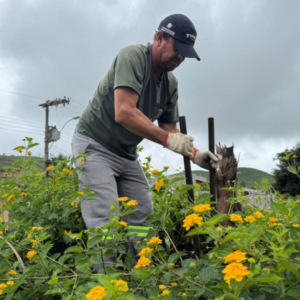 Guaçuí: Prefeitura realiza diversas ações de paisagismo e jardinagem ao longo da semana