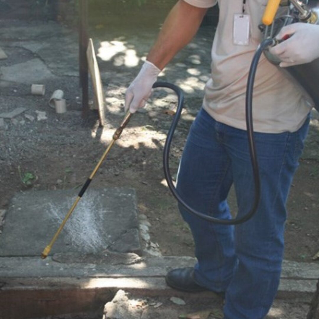 Nova tecnologia para combater mosquito será apresentada em Colatina