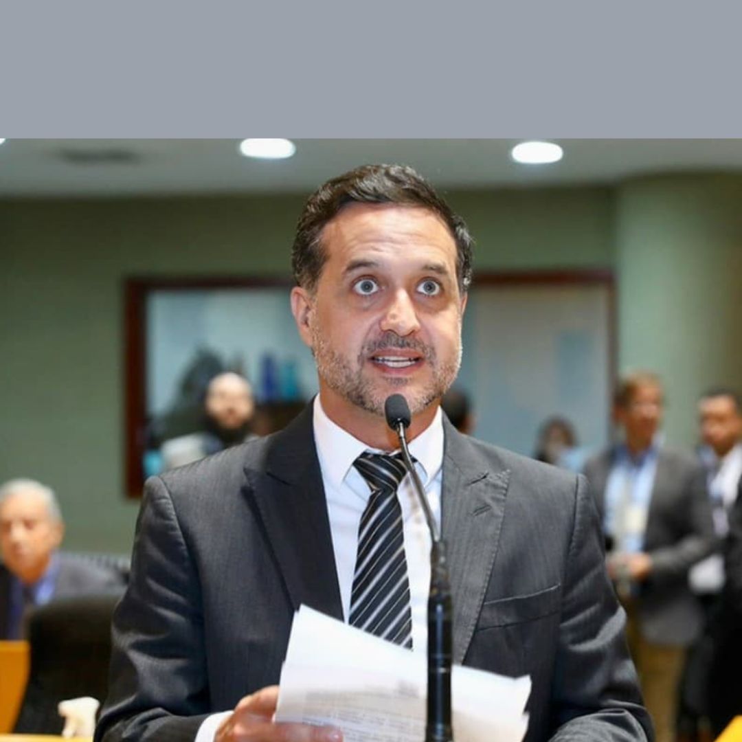 Gandini permanece como membro titular da Comissão de Educação da Assembleia