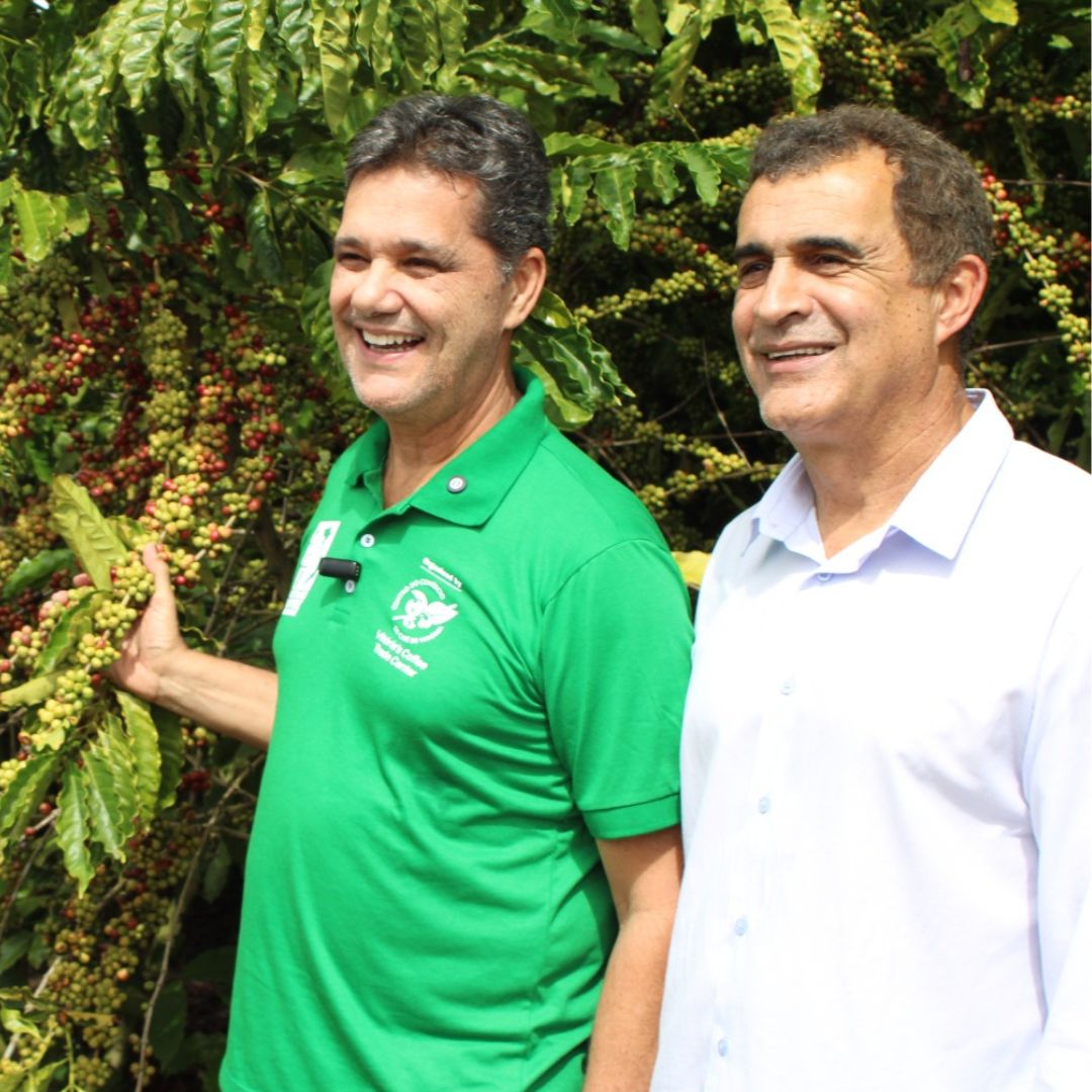 Jaguaré é palco para início oficial da Colheita do Café Conilon no Estado