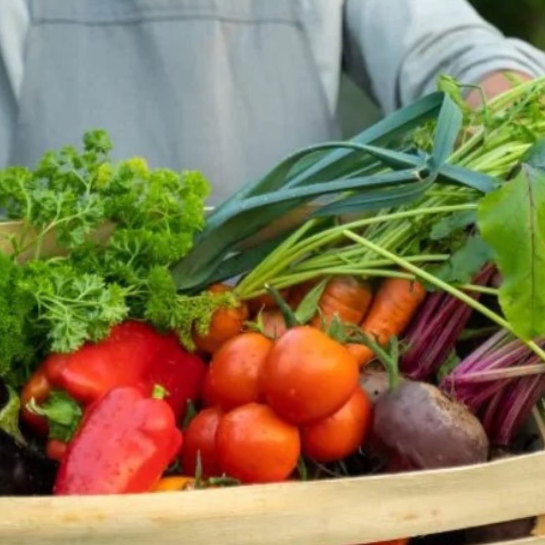 Falta de estrutura e leis de segurança alimentar atinge 41% dos municípios do ES
