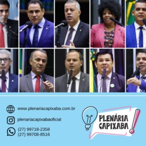 Bancada capixaba fecha 2025 com protagonismo e desafios