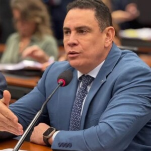 Deputado capixaba propõe internação de adolescentes por atos de violência extrema contra animais