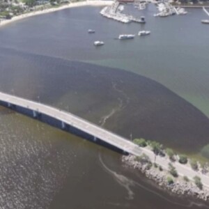 Iema notifica PMV e Cesan após mancha na Baía de Vitória