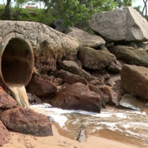 Manifesto em Favor da CPI da Balneabilidade em Vitória: Por uma gestão responsável e transparente da qualidade das águas das praias