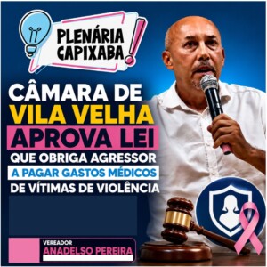 Câmara de Vila Velha aprova lei que obriga agressor a pagar gastos médicos de vítimas de violência