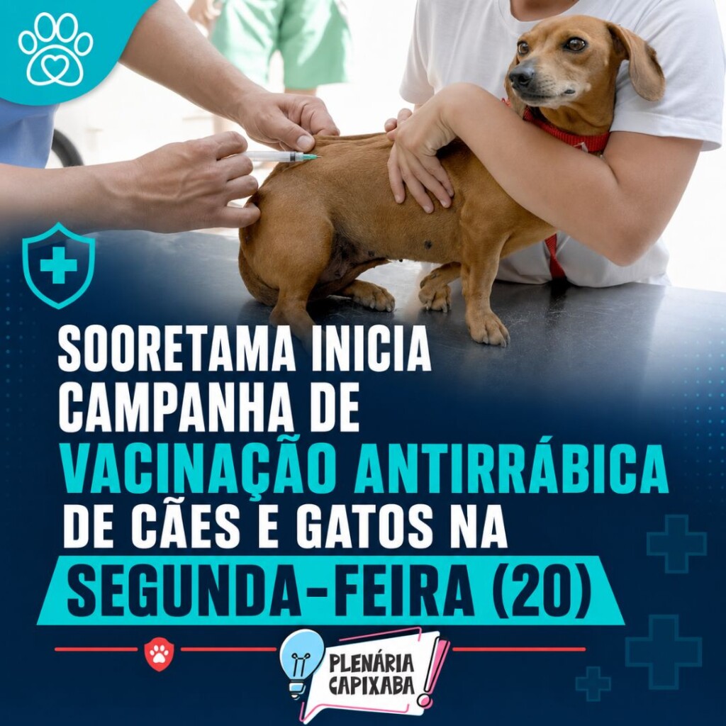 Sooretama inicia campanha de vacinação antirrábica de cães e gatos na segunda-feira (20)
