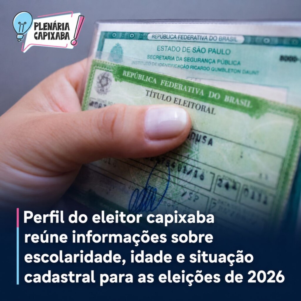 Perfil do eleitor capixaba reúne informações sobre escolaridade, idade e situação cadastral para as eleições de 2026