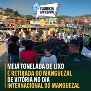 Meia tonelada de lixo é retirada do manguezal de Vitória no Dia Internacional do Manguezal