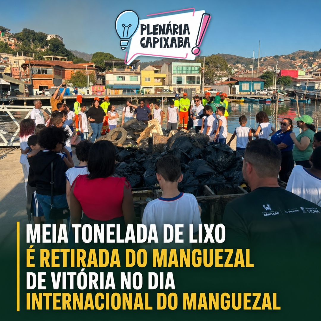 Meia tonelada de lixo é retirada do manguezal de Vitória no Dia Internacional do Manguezal