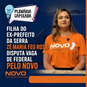 Filha do ex-prefeito da Serra Zé Maria Feu Rosa disputa vaga de federal pelo Novo