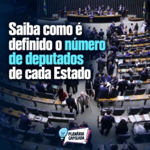 Saiba como é definido o número de deputados de cada Estado