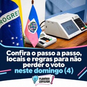 Confira o passo a passo, locais e regras para não perder o voto neste domingo (4)